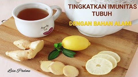 Cara Membuat Minuman Campuran JAHE, LEMON, DAN MADU  //Imunitas Tubuh //Mengurangi Perut Buncit