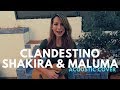 Clandestino  shakira ft maluma  cover by jackie torres