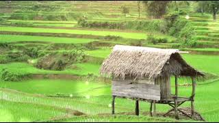 KECAPI SULING BUAT SUNGKEM TERBAIK