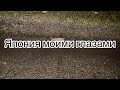 Япония. Три новости!Встретили внезапно папку на улице. /Japan Vlog/