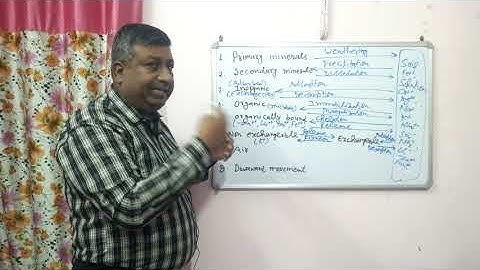 Nutrient Transformation Processes