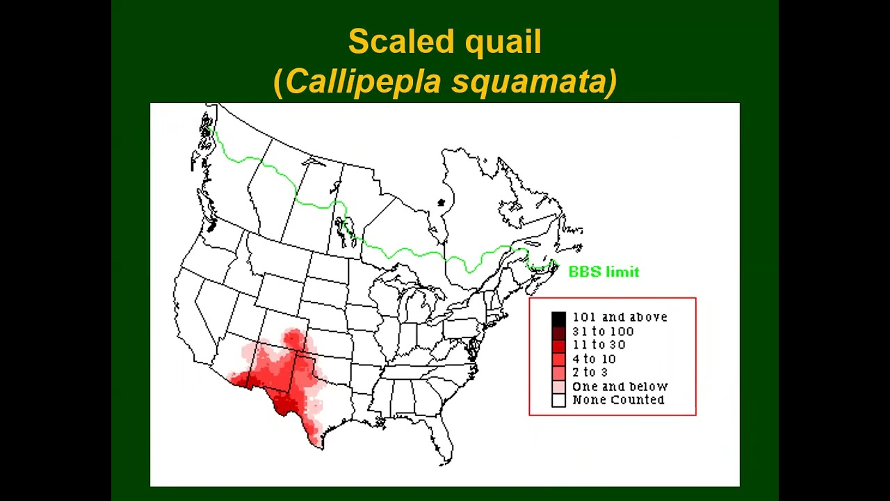 Lab 4 (Upland and Migratory Game Birds)