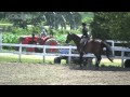 493 tycoon at mt nittany classic july 2 ridden by arielle pre adult hunter 3rd trip