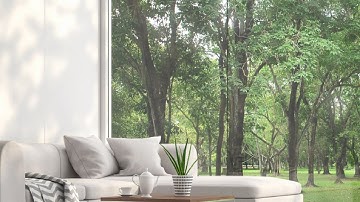 Recording and Retrieving Webex Videos