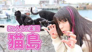 【にゃんこ好き集まれ】岡山の『猫島』こと真鍋島に行ってみたニャ！