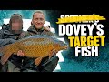 Dovey  spooner catch one but does it count  korda carp fishing 2024