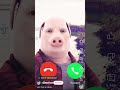 Smartphone Ringtone Baby Cocomelon Funny Pig Lifeisbutadream Independenceday Greenscreen W Smartphone Ringtone Baby Cocomelon Funny Pig Lifeisbutadream Independenceday Greenscreen W