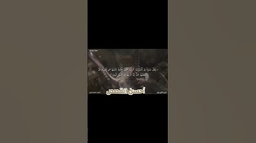 القارئ عاصم سليم يواصل الإبداع في ترتيل سورة يوسف عليه السلام