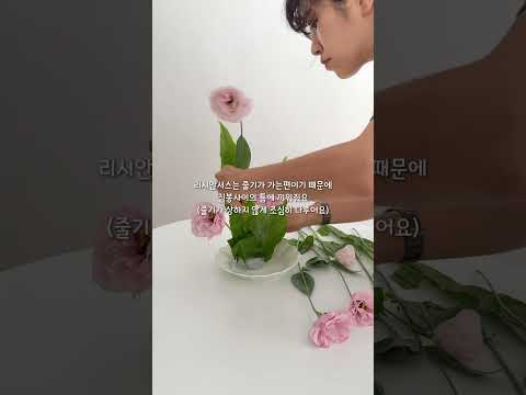 리시안셔스 쉬운 침봉 꽃꽂이 이케바나 Florist Flowers 쉬운꽃꽂이 5분꽃꽂이