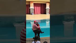 Can't get enough of Tom The SeaWorld Mime! #shorts #seaworld #mime