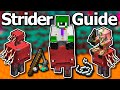 Ultimate minecraft 120 strider guide  how to ride striders fast breeding warped fungus