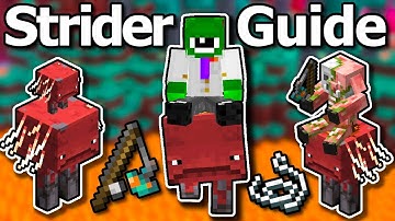 Ultimate Minecraft 1.21 Strider Guide - How To Ride Striders Fast, Breeding, Warped Fungus