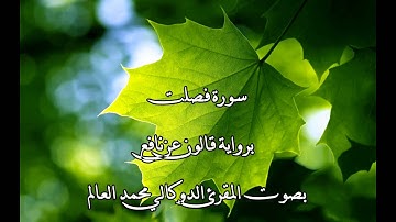 سورة فصلت بصوت المقرئ الدوكالي محمد العالم