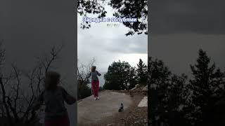 Утренняя зарядка.🤸 Сегодня голуби помогают). Больше на канале.Интуитивная гимнастика.
