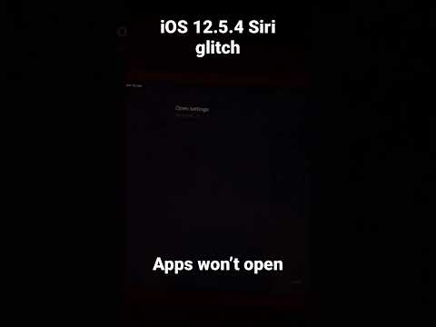 IOS 12 5 4 Siri Glitch