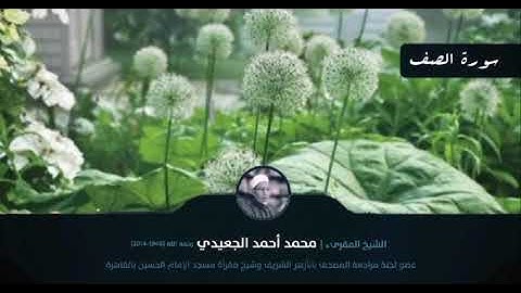 سورة الصف || الشيخ المقرئ محمد أحمد الجعيدي رحمه الله