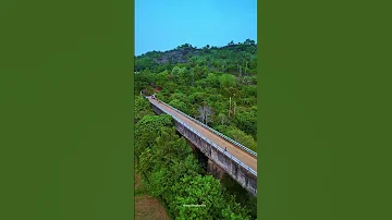 Villages Of Palakkad Kerala Shortsvideo Palakkad Villagelife 
