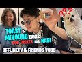 Toast & Miyoung Baking Challenge  Treats for NABI l Toast talks about his Feelings with Miyoung