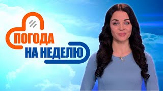 До +24 И Грозы! Погода На Неделю | Погода В Беларуси С 19 По 25 Мая | Плюс-Минус