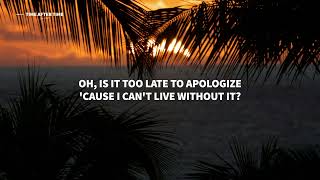 Sam Feldt - Time After Time (Lyrics)