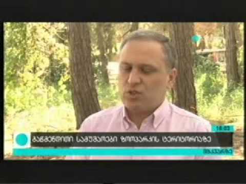 თენგიზ კალანდაძე ზოოპარკის ტერიტორიის დეზინფექციაზე (30.06.2015) მაესტრო - ახალი ამბები