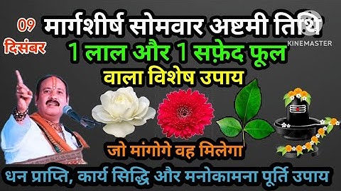9 दिसंबर मार्गशीर्ष सोमवार अष्टमी को 1 लाल फूल 1 सफेद फूल वाला उपाय जरूर करे। #upay