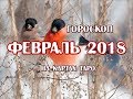 Прогноз на ФЕВРАЛЬ 2018 года для всех знаков зодиака на 12 колодах ТАРО