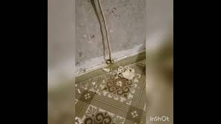 видео: как наченается пожар из-за старой проводки. картинка: как наченается пожар из-за старой проводки.