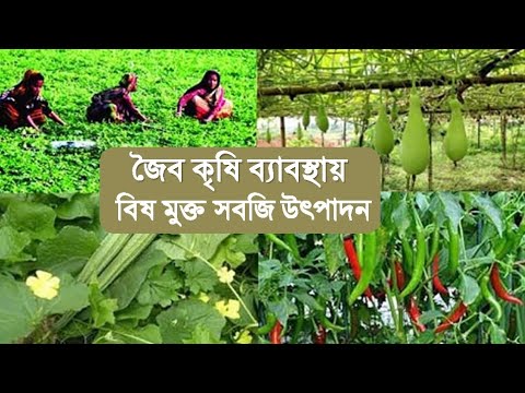 ভিডিও: জৈবিক কৌশল কি?