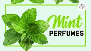 12 Best Mint Perfumes/Fragrances/Colognes/Scents - For Spring &amp; Summer 2018