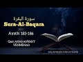 Beautiful quran recitation l sura al baqara i  i anas anvary venmenad i haameem creations