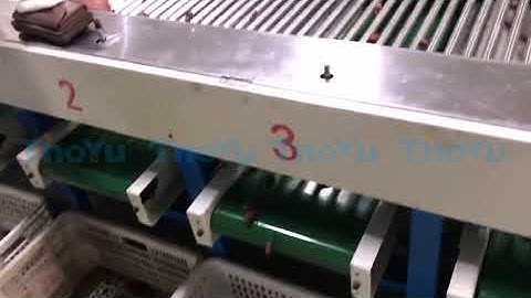 Pakistan palm dates grading machine from Thoyu Machinery+86 15903675071