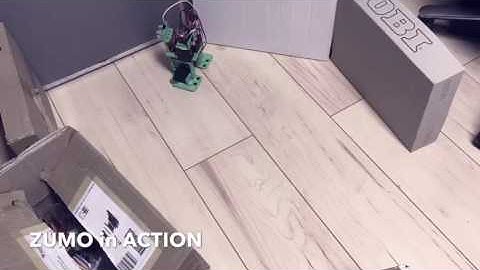 ZUMO the Biped Robot in ACTION - Timelapse