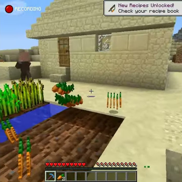 Does fortune work on crops in minecraft youtube
