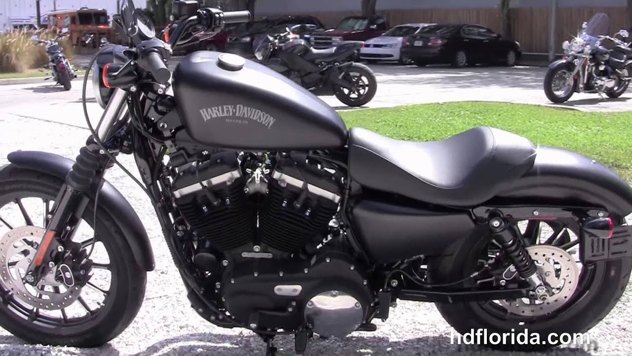New 2019 Harley Davidson Iron 883  for Sale Specs YouTube