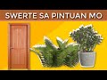 6 Lucky Plants na Dapat Mong Ilagay sa Iyong Pinto Ngayong 2021