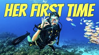 Diving Roatan Honduras [Dolphins, Doctors, and Overcoming Fears]