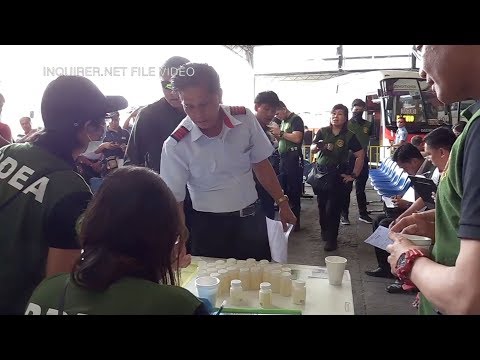 10 bus drivers, 2 conductors test positive for drugs in pre-Undas check — PDEA