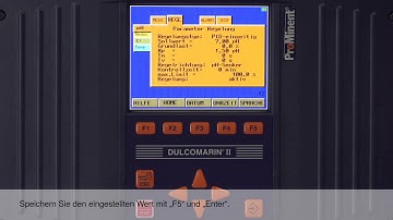 Dosiersystem DULCODOS Pool Professional – How-to: Sollwerte einstellen