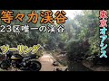 【Z900RS】等々力渓谷へタンデムツーリング★東京２３区唯一の世田谷渓谷
