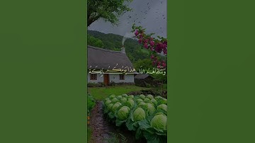 يوم نطوي السماء كطي السجل للكتب | احمد نعينع | تلاوة رائعة من سورة الأنبياء