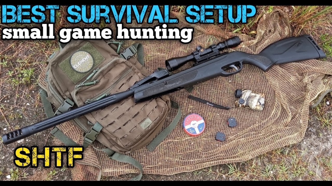 Винтовка для охоты на мелкую дичь (SHTF)