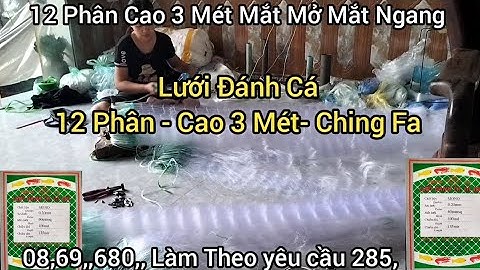 Lưới Đánh Cá 12 Phân Cao 3 Mét Sợi Cước Ching Fa Mắt Mở Mắt Ngang Lưới Đánh Cá 3 Màn Chuyên Cá Chép 