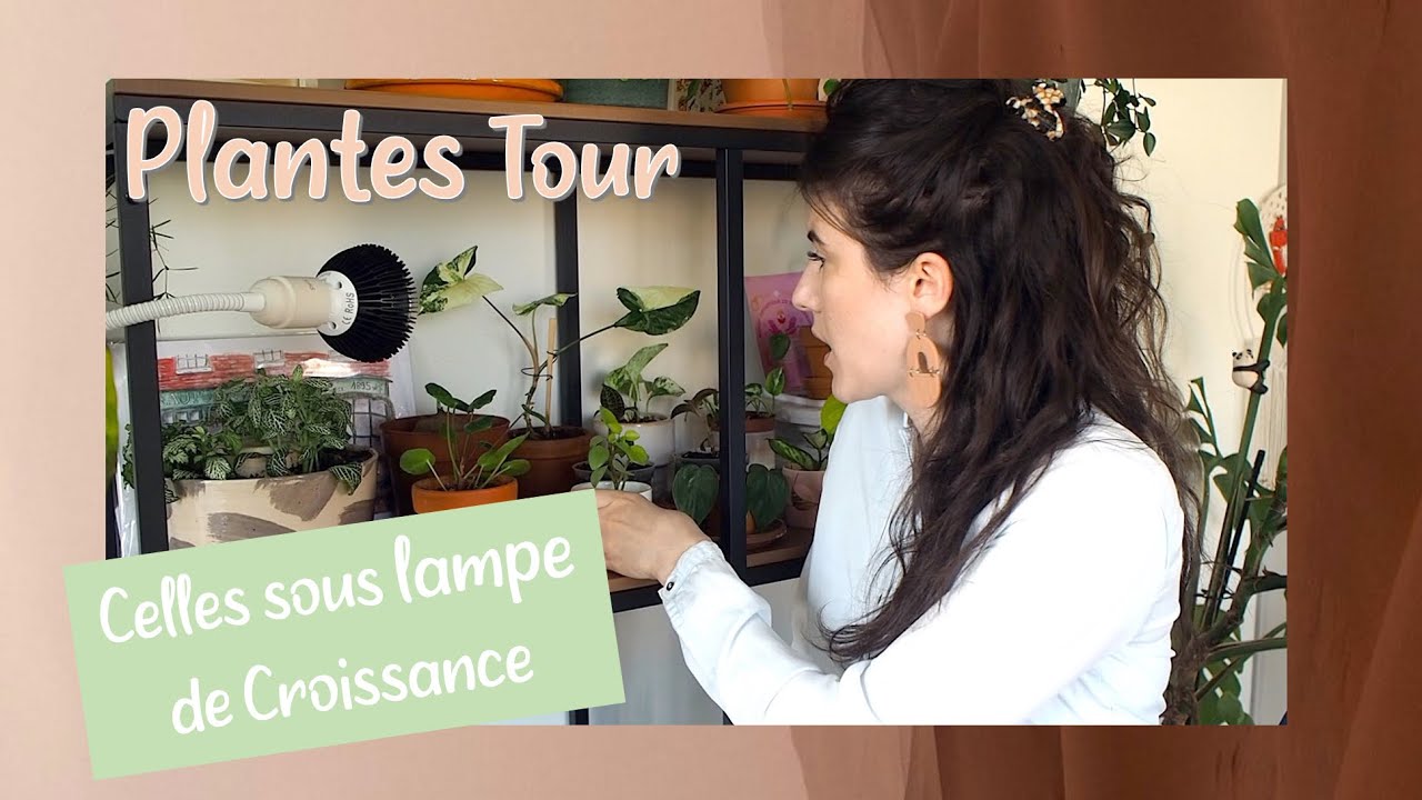 Mes Plantes sous Lampe Horticole - Mini Plantes Tour 