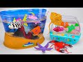 🦈toy asmr🦈 127 Mins ZURU Robo Light Up Aquarium &amp; Robo Ribbontail Ray 🐠 Unboxing Toys (No Talking)