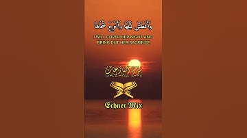 حالات واتس - سورة النازعات الاية (27) - للقارئ | إسلام صبحي