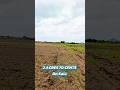 Land On Sale .2 Acres 70 Cents In Nemalikallu.Ap #Nemalikallu #Landonsale #telugustates