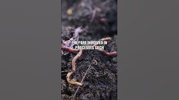 Unlock the Secrets of the Hidden Microbial World!