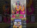 Aaj ka darshan 🙏💐08 Feb 2025#iskcontemple #bahrain #subscribe #harekrishna #youtubeshorts
