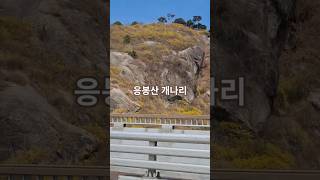 응봉산 영상